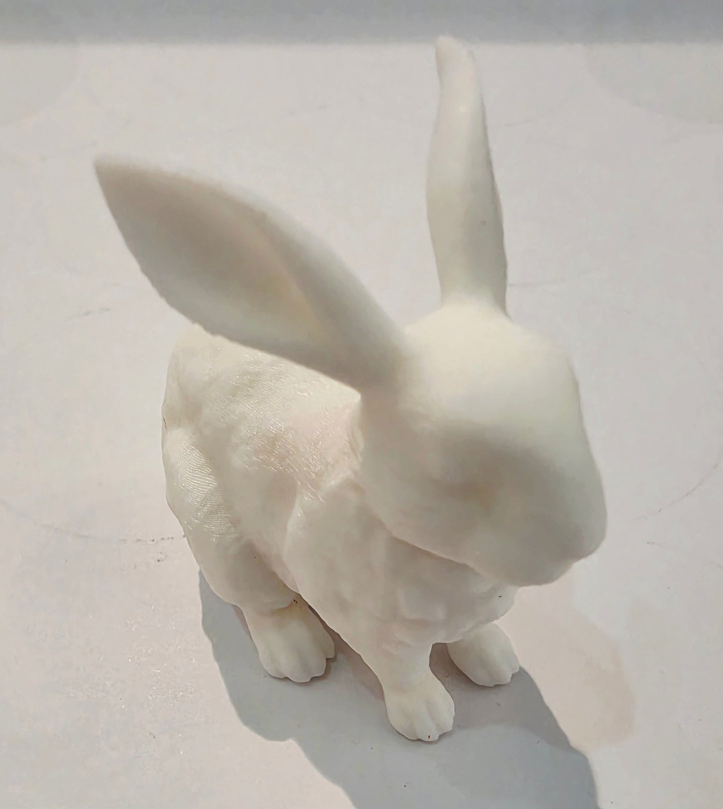 Lucky Rabbit