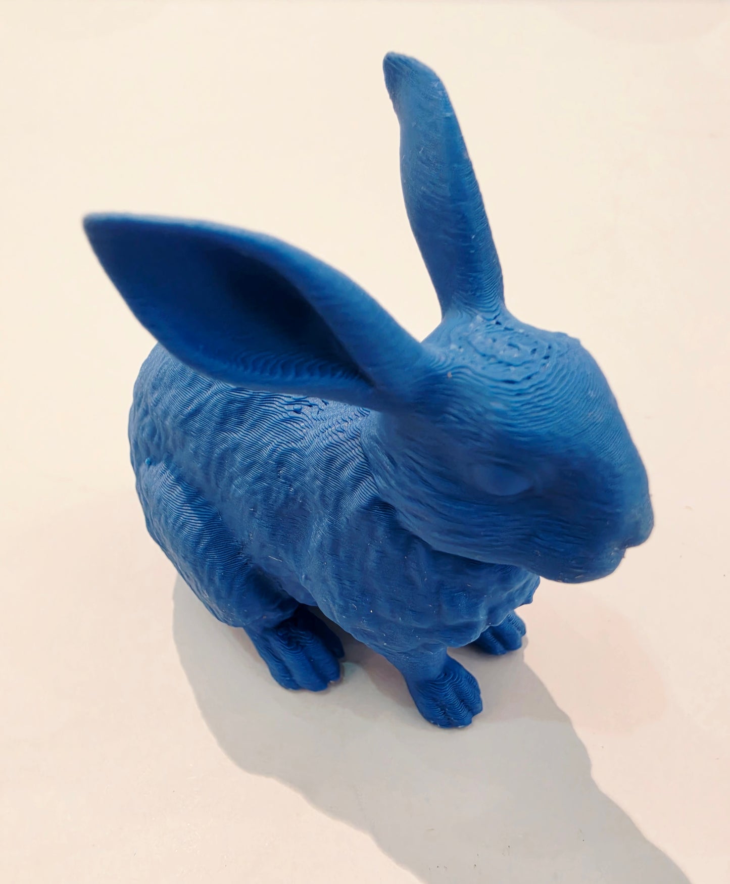Lucky Rabbit