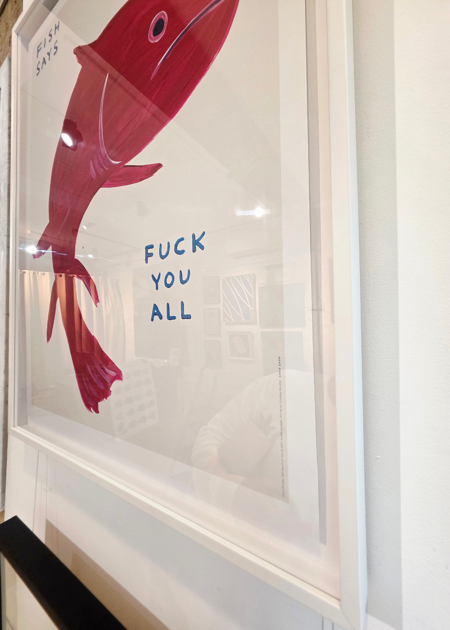 Fish Says Fuck You All (Framed)