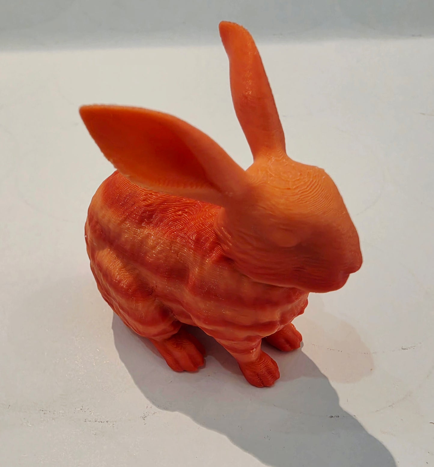Lucky Rabbit
