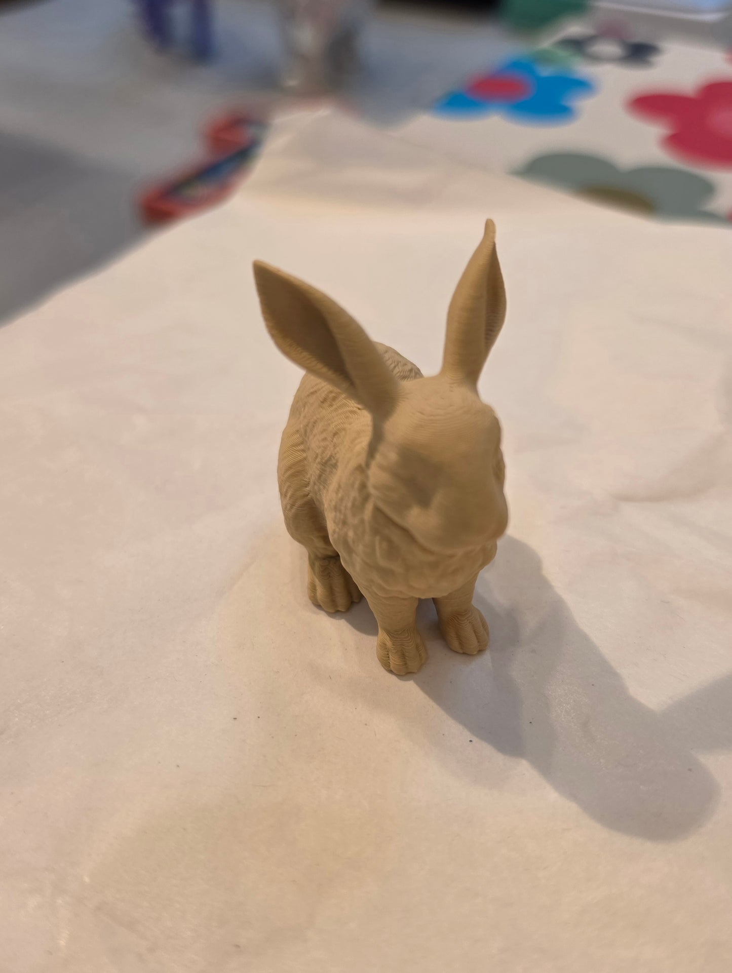 Lucky Rabbit