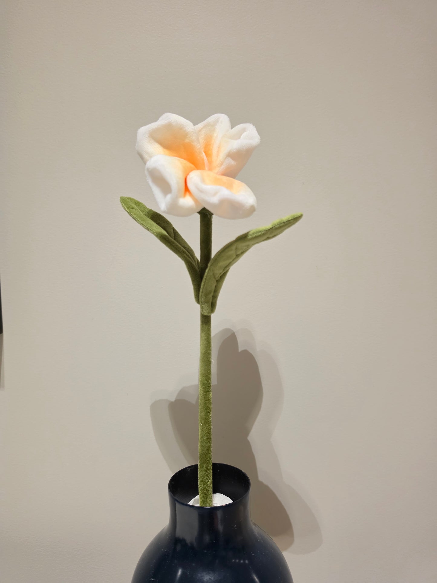 Flower Market 2026 (Australian Native)