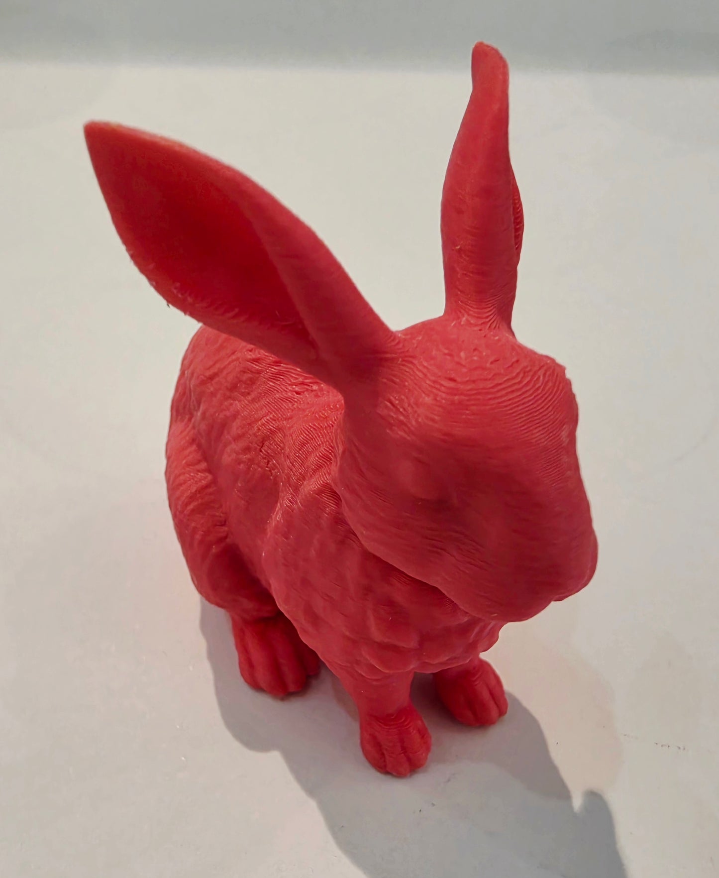 Lucky Rabbit