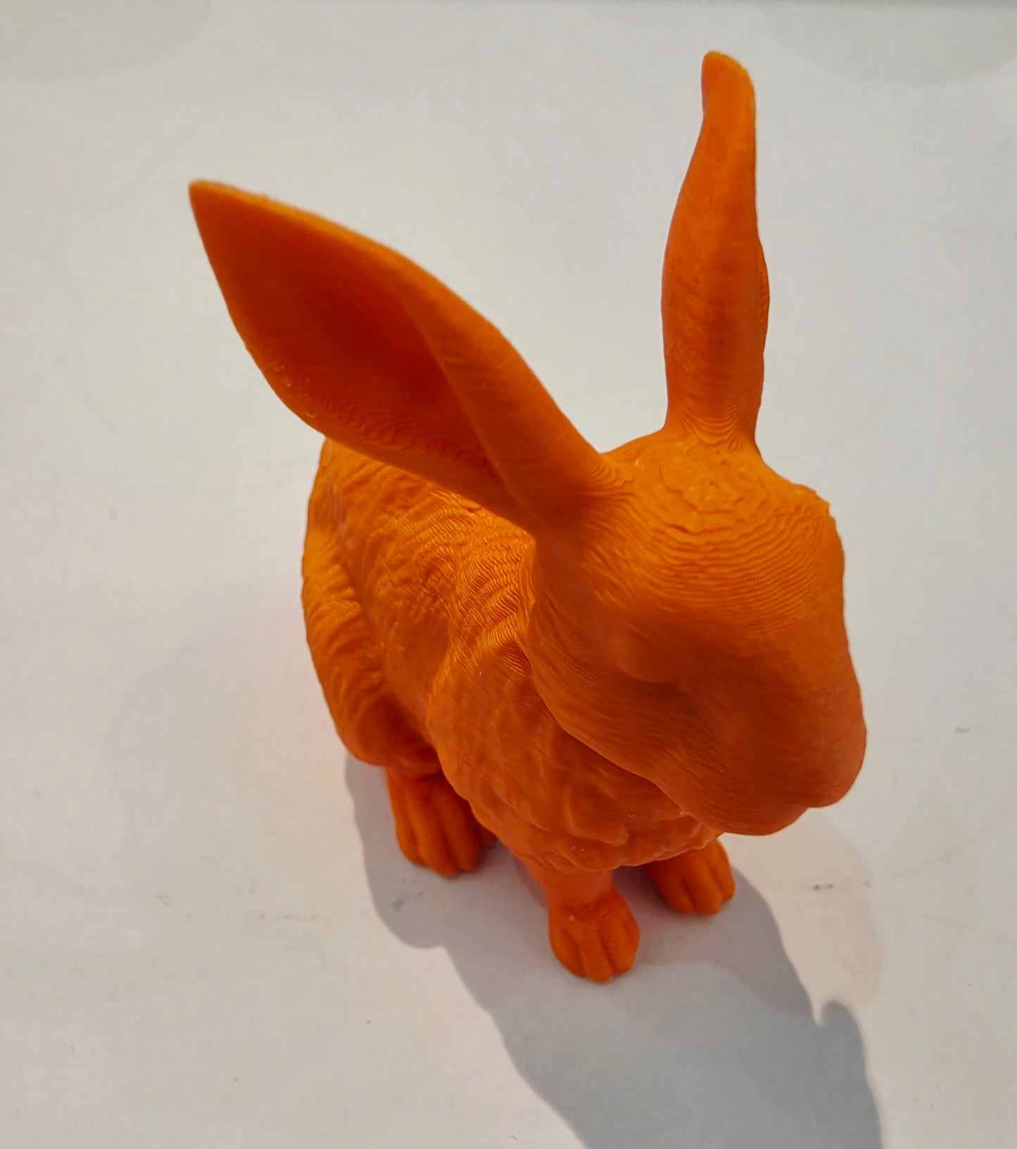 Lucky Rabbit