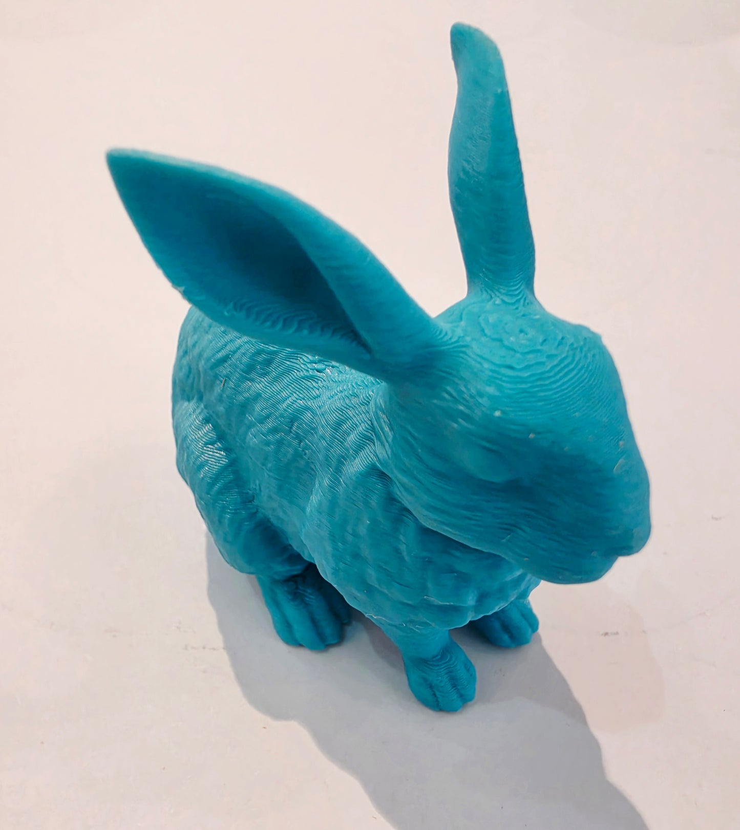 Lucky Rabbit