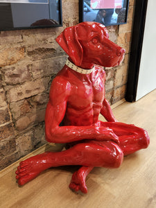Red Dog Two Legs Down