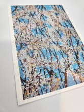 Load image into Gallery viewer, Colorful Blossom - Official Exhibition Postcard
