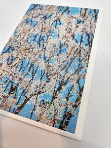 Colorful Blossom - Official Exhibition Postcard