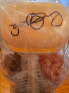 Gummi Bear Anatomy (Signed)