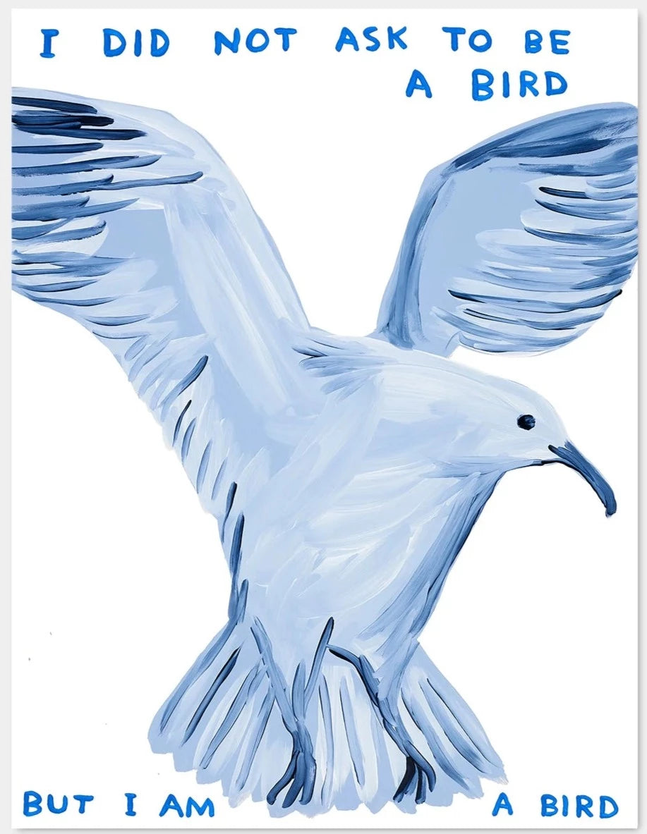 I Did Not Ask To Be A Bird