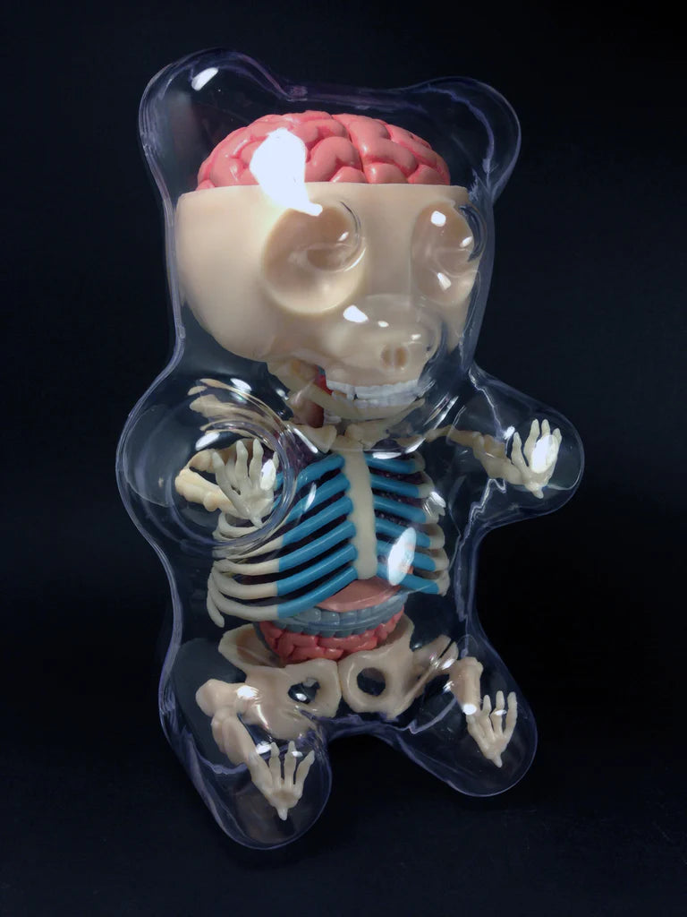 Gummi Bear Anatomy (Signed)