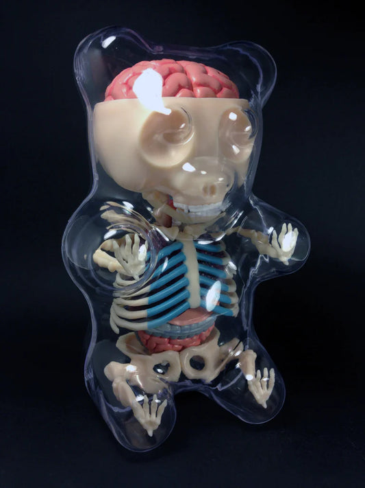 Gummi Bear Anatomy (Signed)